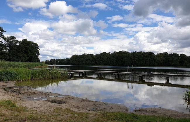 Ferienhaus in Mecklenburg-vorpommern mit Tropenpool & Spa - Foto 30
