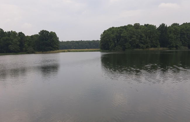 Ferienhaus in Mecklenburg-vorpommern mit Tropenpool & Spa - Foto 36