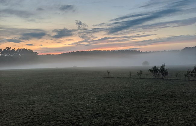 Ferienhaus in Mecklenburg-vorpommern mit Tropenpool & Spa - Foto 35