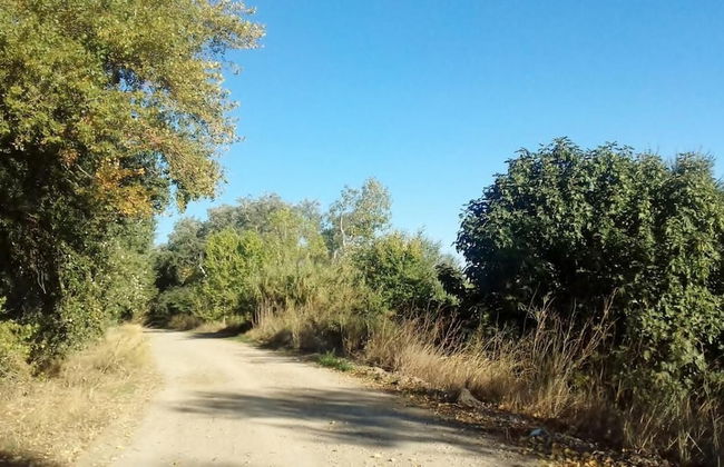 Rural House Near Zaragoza - Photo 20