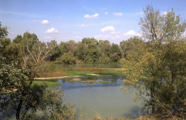 Rural House Near Zaragoza - Photo 21