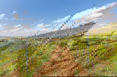 Foto 43 - Panorama Villa Nestled Among the Vineyards Langhe