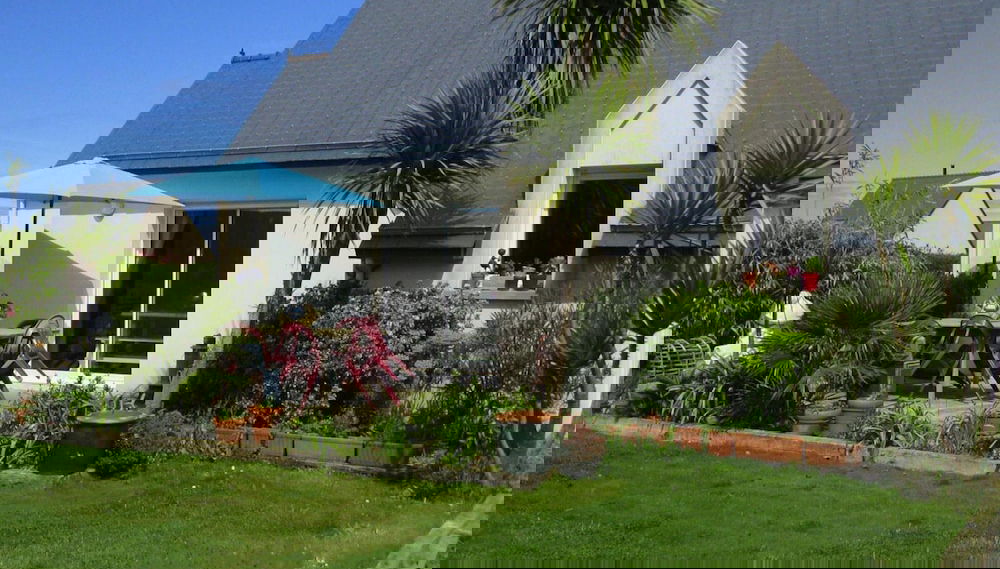 Imagem principal