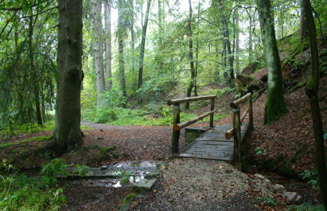 Appartement Jagdschlosschen, Bad Sachsa - Foto 20