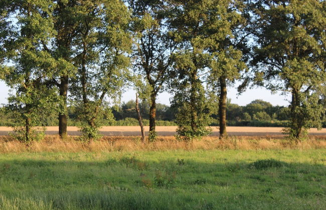 Farmhouse in De Heurne Near the Forest - Foto 69