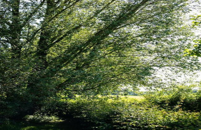 Farmhouse in De Heurne Near the Forest - Foto 64