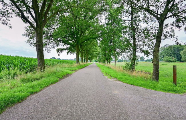 Cozy Countryside Getaway - Foto 30