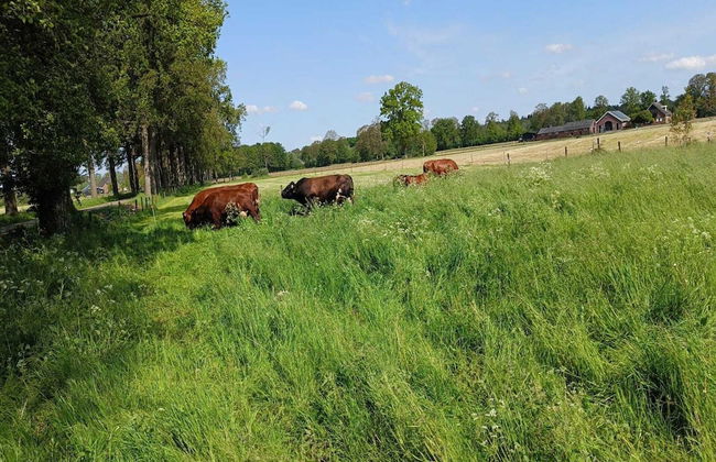 Farmhouse in De Heurne Near the Forest - Foto 35