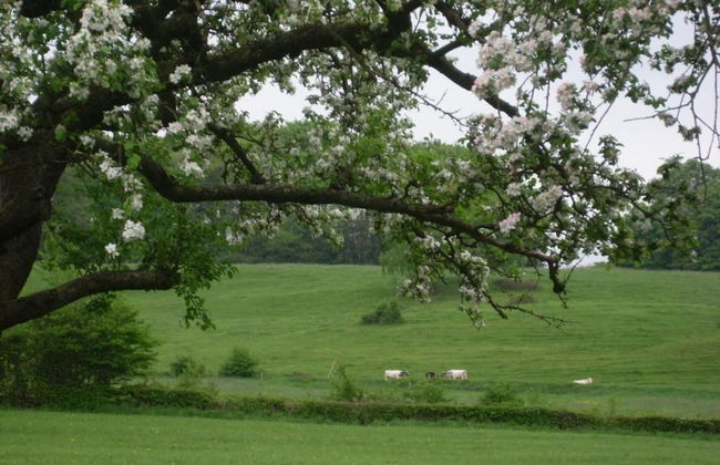 Limbourg Nature Retreat - Foto 30