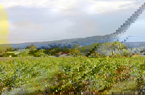 Photo 79 - Charming Cottage in Oppede Amidst Vineyards