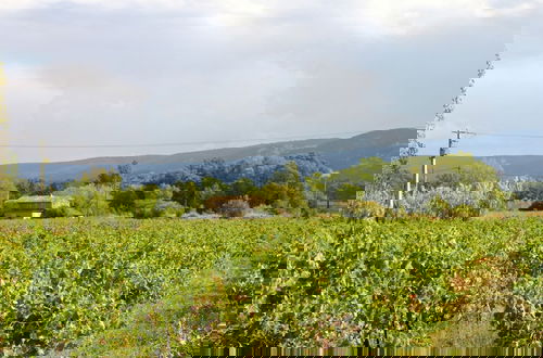 Foto 73 - Charming Cottage in Oppede Amidst Vineyards