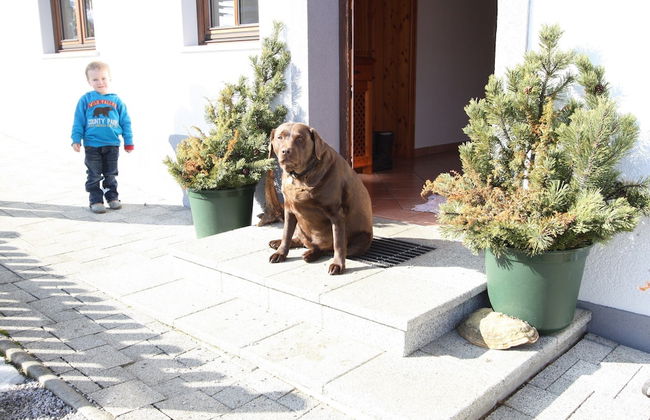 Charming Holiday Home in Huttau With Barbecue - Foto 28