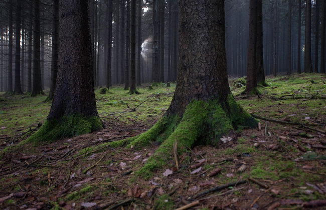 Comfort Near Oberwiesenthal - Foto 28