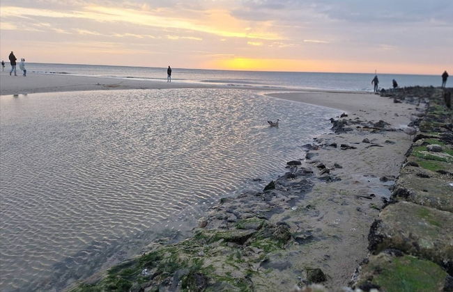 Appartement in Westerland auf Sylt - Foto 16
