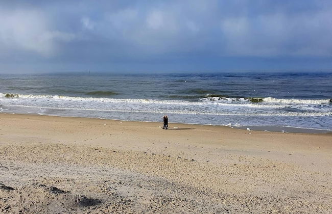 Appartement in Westerland auf Sylt - Foto 21