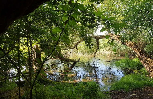 Ferienhof Neuendorfkrug, Lutow - Foto 17