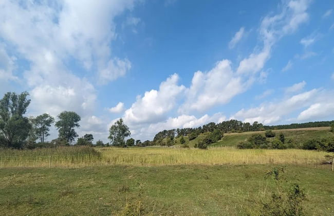 Ferienhof Neuendorfkrug, Lutow - Foto 24