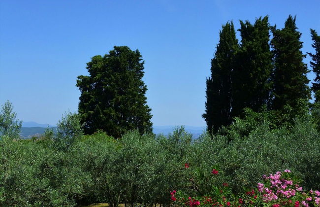 Lovely Estate not far From Florence With Olives Trees - Foto 74