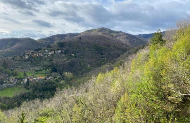 Serene Farmhouse in Dicomano With Swimming Pool - Foto 53