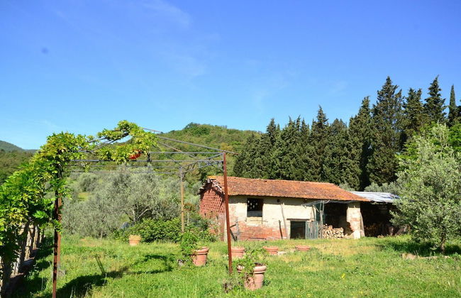 Lovely Estate not far From Florence With Olives Trees - Foto 51