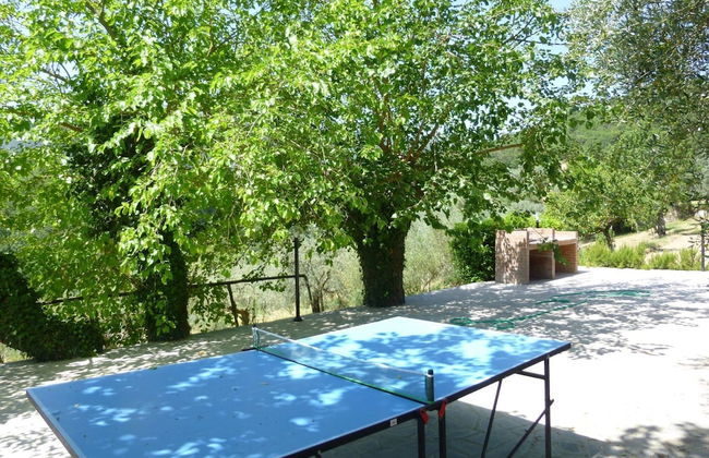 Lovely Estate not far From Florence With Olives Trees - Foto 46