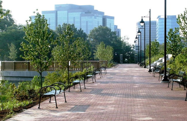 Park Place- Cozy Modern Space Fully Updated Fast Wifi Good Coffee and Easy Parking - Foto 20