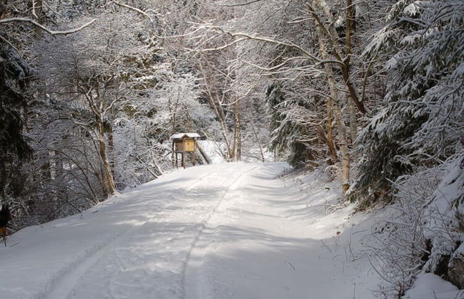 Doppelhaushalfte in Hasselfelde - Foto 14