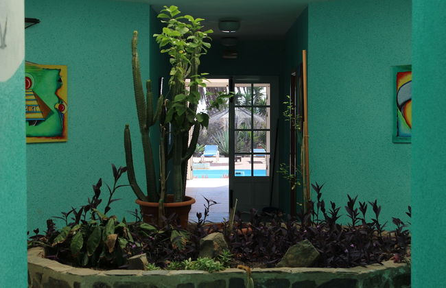 Beautiful 2-bed Bungalow in Parque Holandés - Foto 32