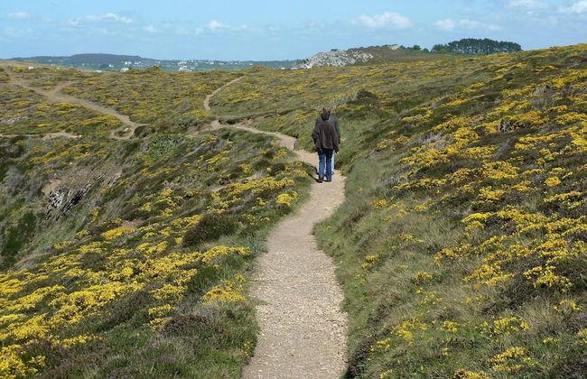 Holiday Home in Crozon Near Sandy Beaches - Foto 29