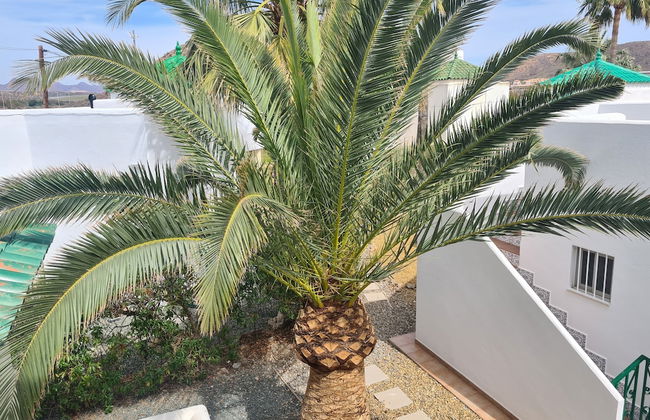 Les Cactus Remarkable 7 bed Villa - Private Pool - Foto 30