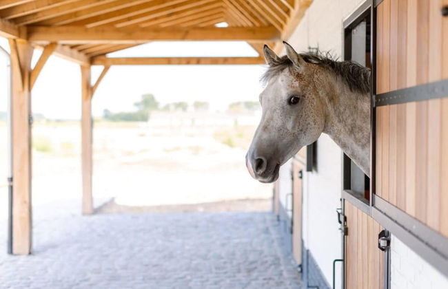Quick - Lovely Double Room at Ranch De Blauwe Zaal - Foto 27