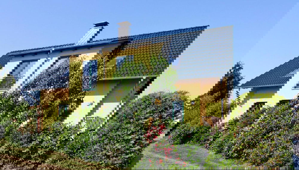Image principale