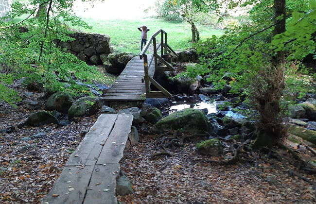 4 Star Holiday Home in Garsnas - Foto 19