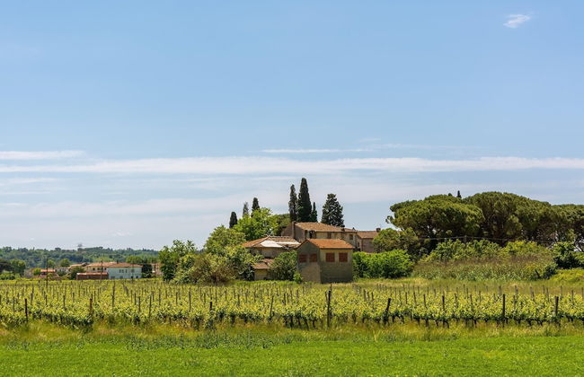 Villa Cerbaie in Fucecchio - Foto 37