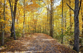 Photo 3 - Delaware 'wooded River Retreat' w/ Views & More