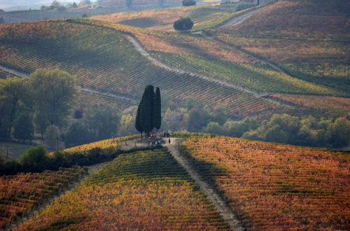 Photo 58 - Cascina Tre Botti