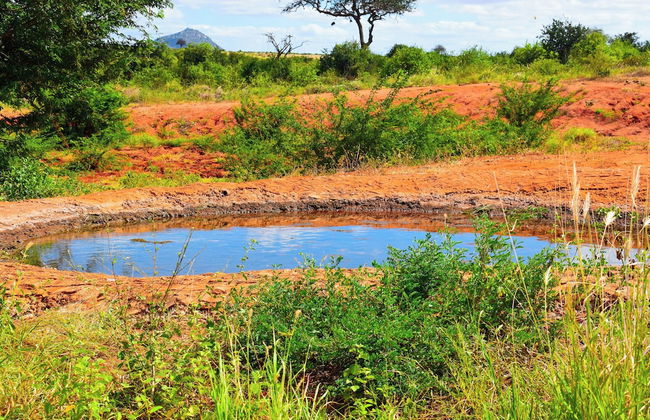 Boma Simba Lodge - Photo 22