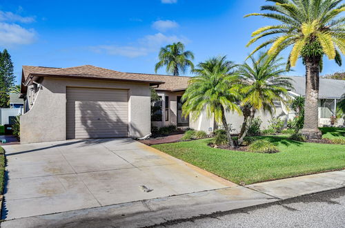 Photo 11 - Port Richey Home w/ Pool, Near Beach Park