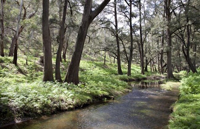 Turon Gates - Mountain Retreat - Foto 72