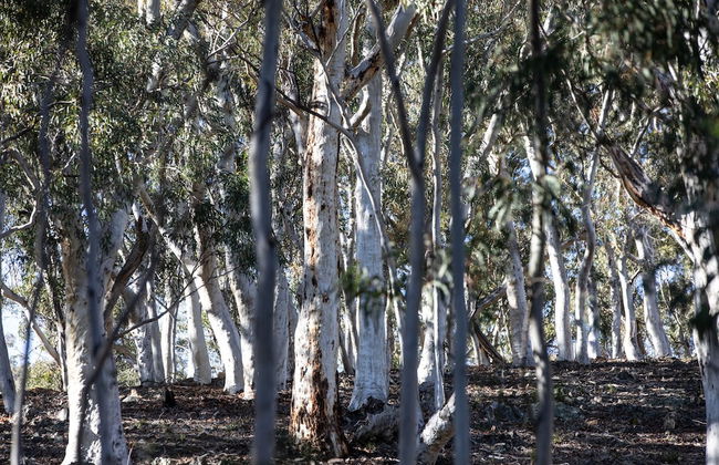 Turon Gates - Mountain Retreat - Foto 79