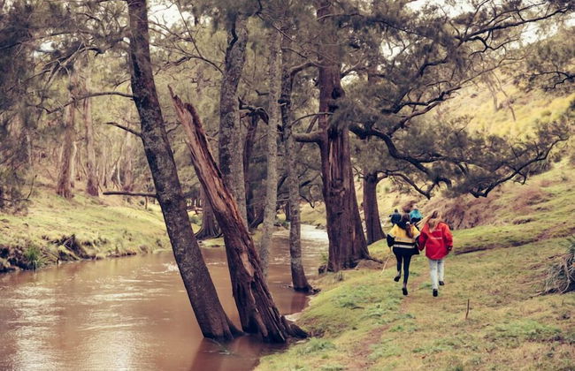 Turon Gates - Mountain Retreat - Foto 80