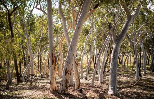 Turon Gates - Mountain Retreat - Foto 69