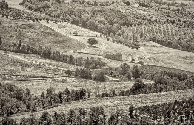 Agriturismo Casa Greppo - Il Noce - Foto 62