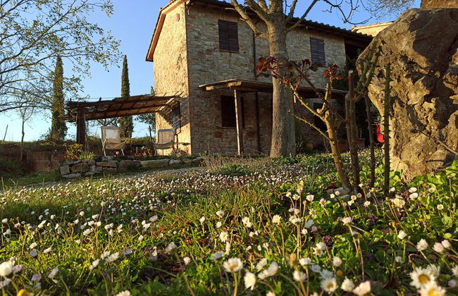 Agriturismo Casa Greppo - Il Noce - Foto 63