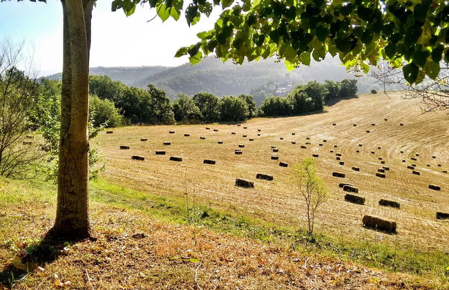 Agriturismo Casa Greppo - Il Noce - Foto 57