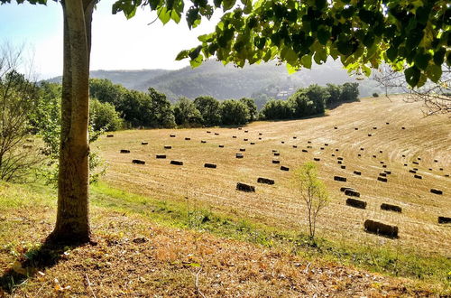 Foto 59 - Agriturismo Casa Greppo - Il Noce