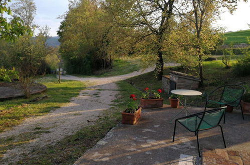 Foto 12 - Agriturismo Casa Greppo - Il Noce