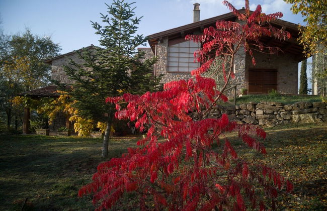 Agriturismo Casa Greppo - Il Noce - Foto 51