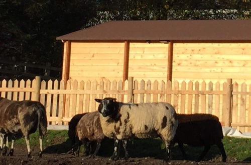 Photo 13 - Cosy 1-bed Farm Stay Cabin