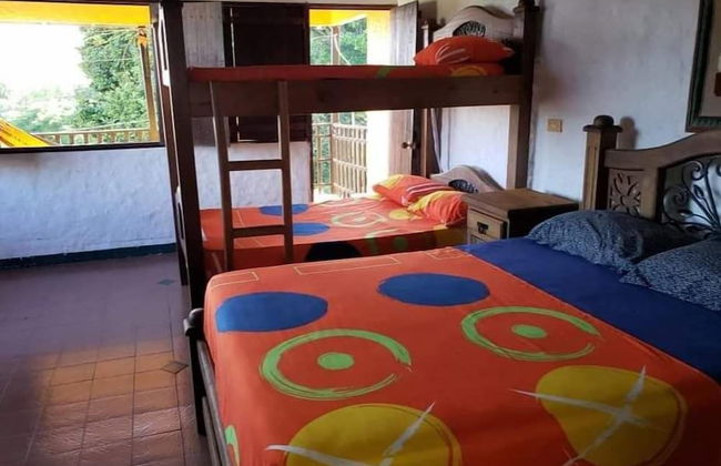 Finca-Hostal Sanfelipe - Foto 3